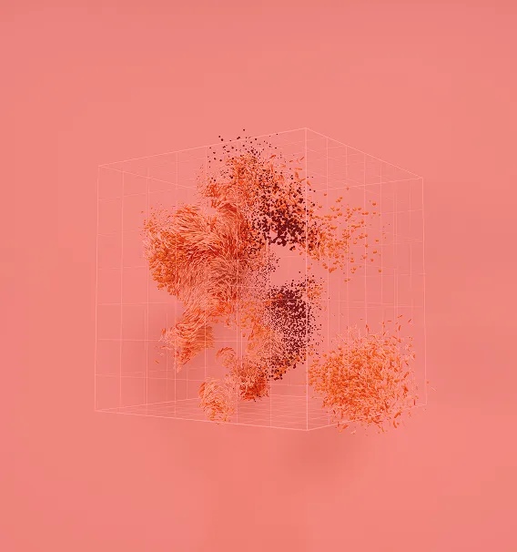 besttop-features-slider-image-2