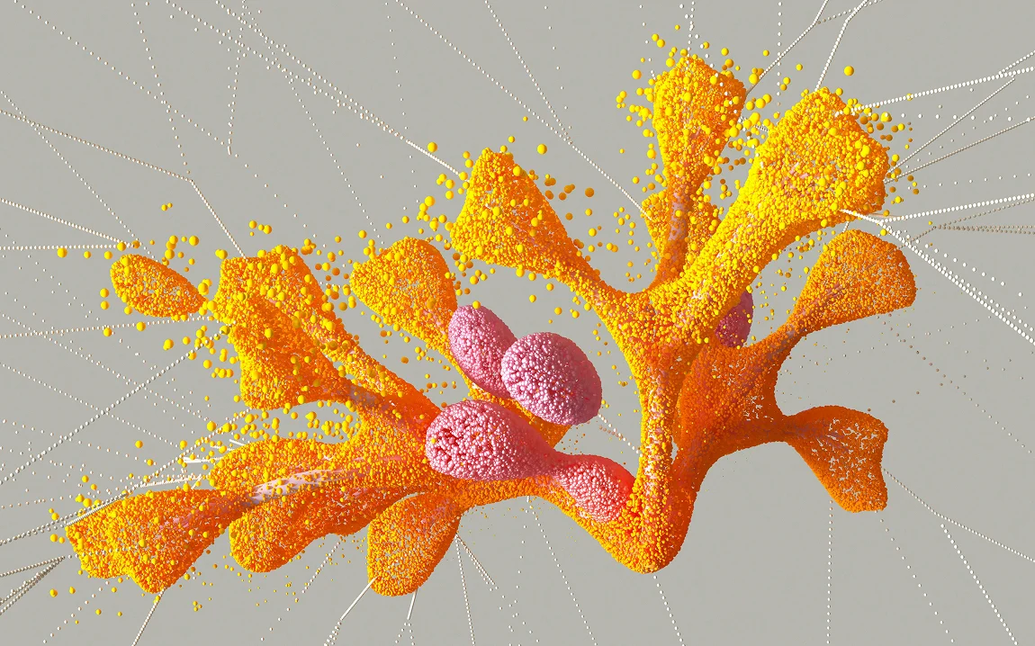 besttop-service-v3-1